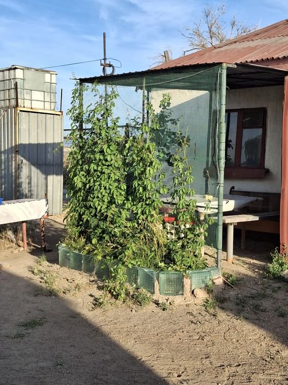 Сдается дача домик 3