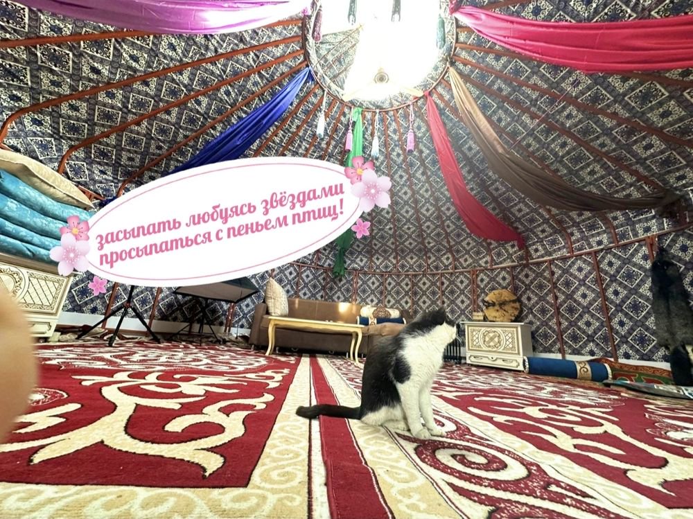 Дача для отдыха на Капчагае посуточно 5