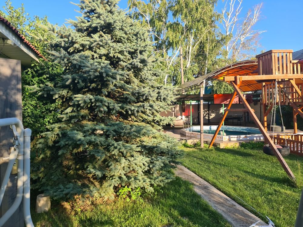 Сдам баню  с детской площадкой и бассейном с подогревлмпо ч 6