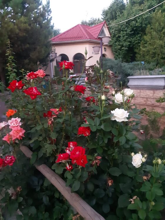 Коттедж бассейн сауна посуточно 2
