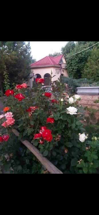 Квартира посуточно коттедж дача дом 7