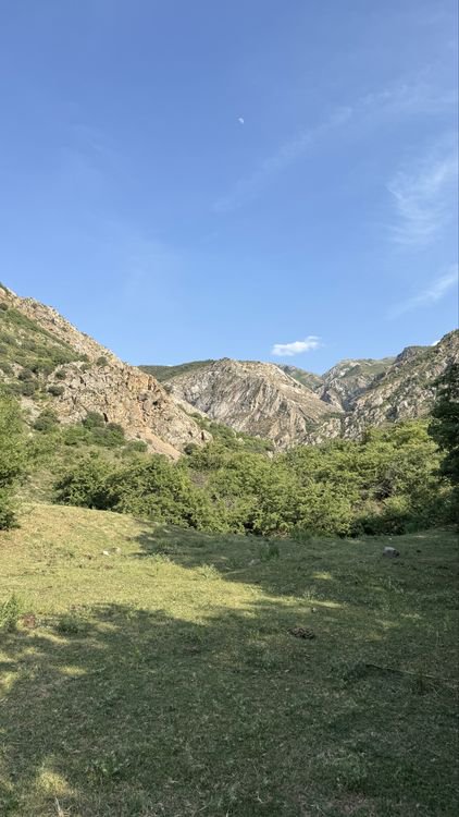Сдаетсья дача  (бургулюк) 3