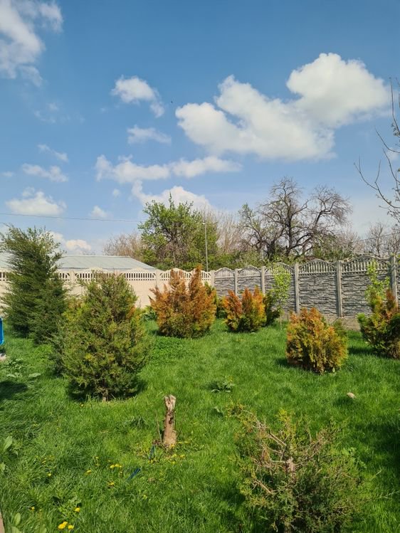 Аренда дачи посуточно кайнар булак коттедж баня загородный дом 6