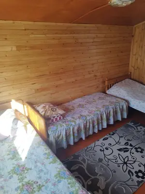 Летние домики в Боровом.