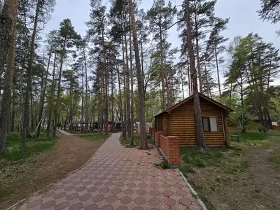 Летние домики в Боровом, первая линия.