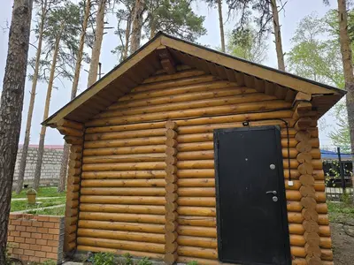 Домики в Боровом у берега первая линия